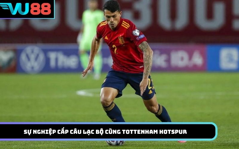 Sự nghiệp cấp câu lạc bộ cùng Tottenham Hotspur