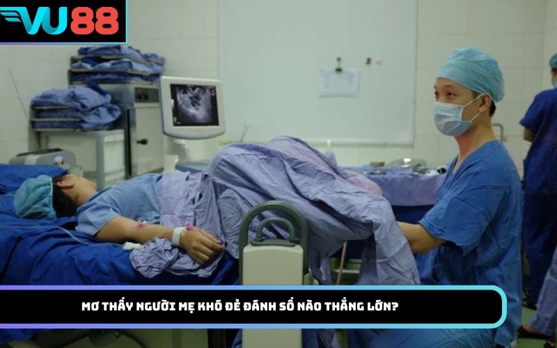 Mơ thấy người mẹ khó đẻ đánh số nào thắng lớn?